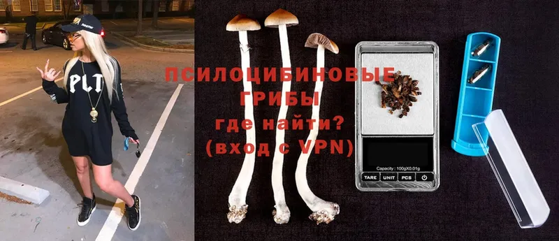 Галлюциногенные грибы Magic Shrooms  Нефтеюганск 